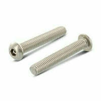 Винт секретн. полукр/гл.внутр/шестигр. со штифтом АРТ 9111 А2 M 4*6 HEX-PIN 2,5 (100)