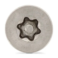  Винт секретн. потай/гл. со штифтом АРТ 9123 А2 M 6*70 TX-PIN 30 (100)