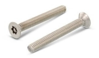  Винт секретн. потай/гл. со штифтом АРТ 9123 А2 M 6*70 TX-PIN 30 (100)